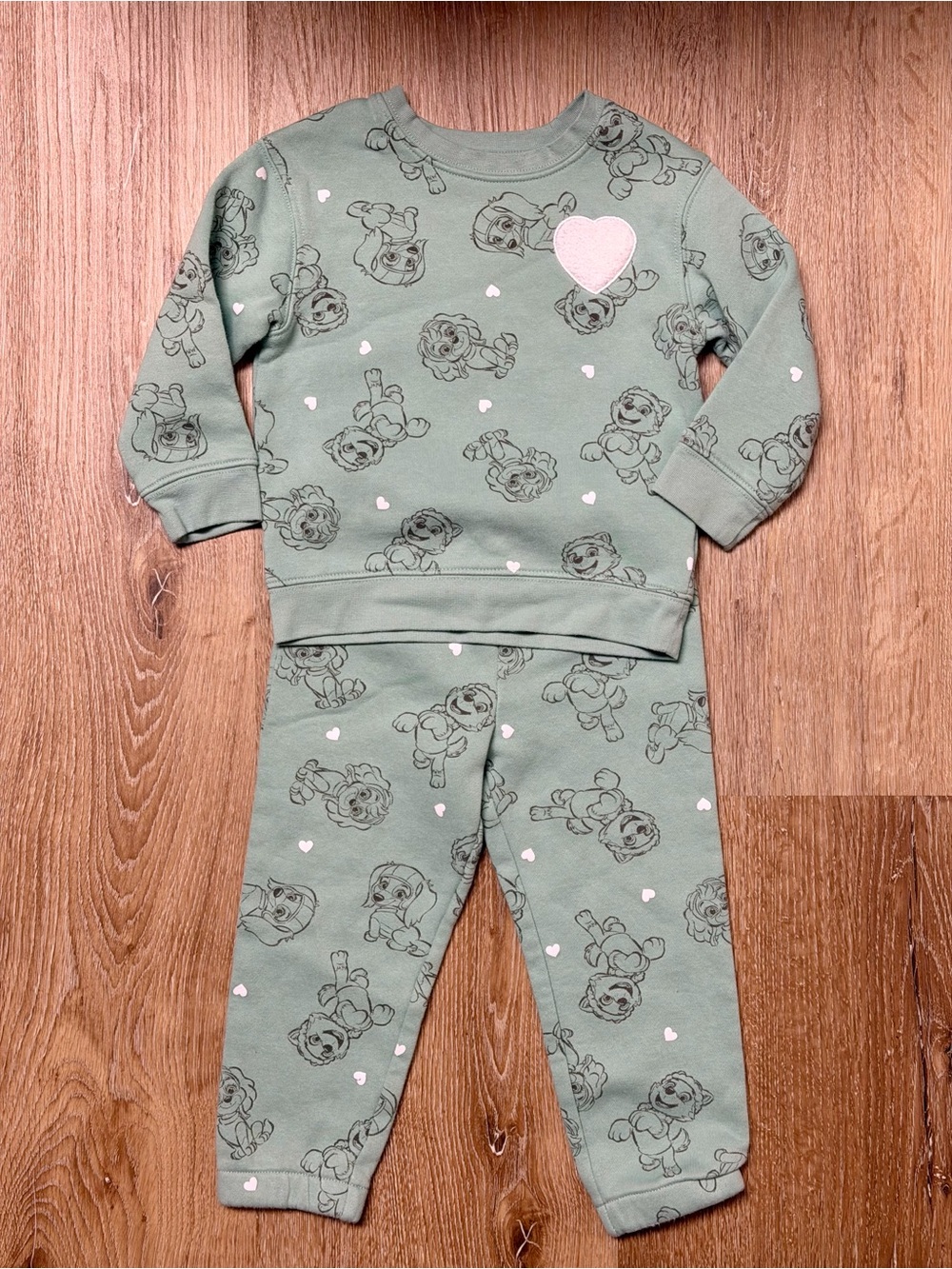 Nickelodeon Green Paw Patrol Heart Outfit Set